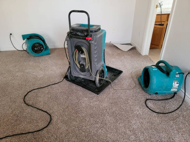 Reliable Lodi, NJ Water damage restoration Solutions