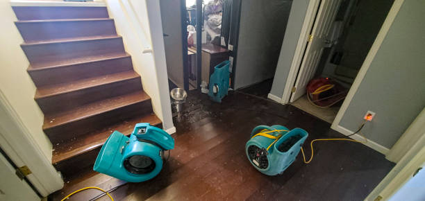 Best 24-hour water damage restoration  in Lodi, NJ