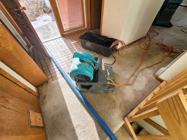 Best Basement water damage restoration  in Lodi, NJ