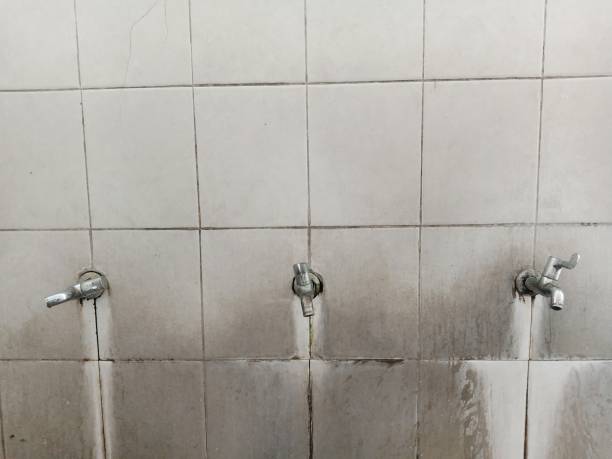 Best Water damage restoration near me  in Lodi, NJ