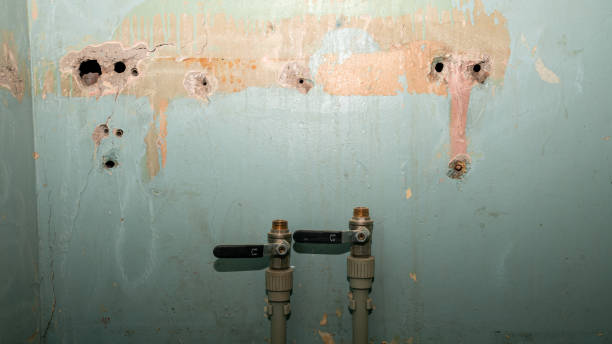 Best Sewage cleanup and water damage restoration  in Lodi, NJ