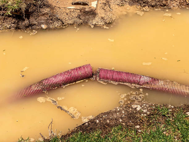 Best Water damage restoration mold remediation  in Lodi, NJ